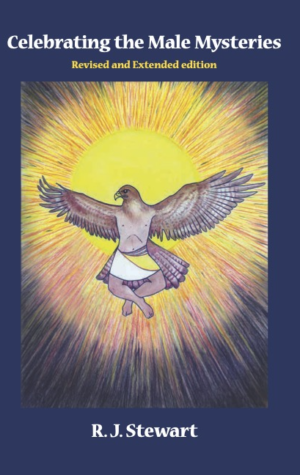 The cover art shows a Hawk like solar being rising into a radiant light. Called "The Raptor" (from the Dreampower Tarot